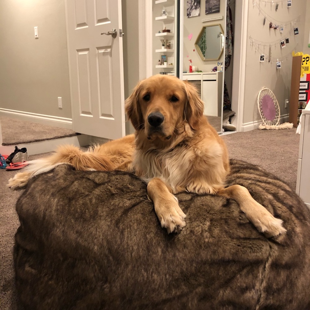 Meet your Posher, Michelle